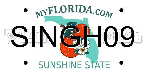 SINGH09 Florida License Plate