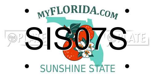 SIS07S Florida License Plate