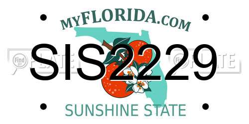 SIS2229 Florida License Plate