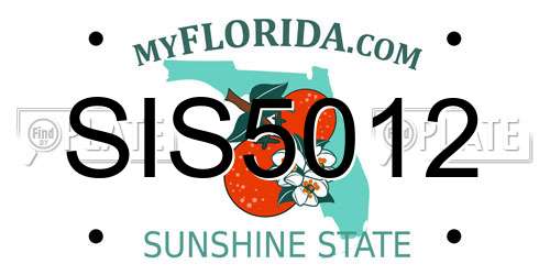 SIS5012 Florida License Plate