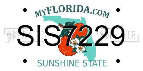 SIS7229 Florida License Plate