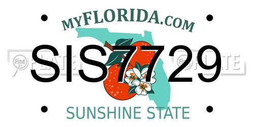 SIS7729 Florida License Plate