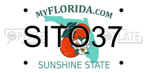 SITO37 Florida License Plate