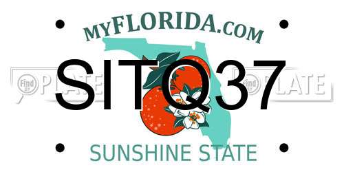 SITQ37 Florida License Plate