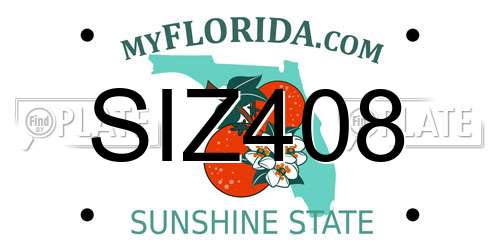 SIZ408 Florida License Plate