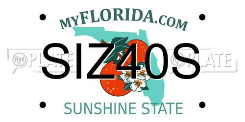 SIZ40S Florida License Plate