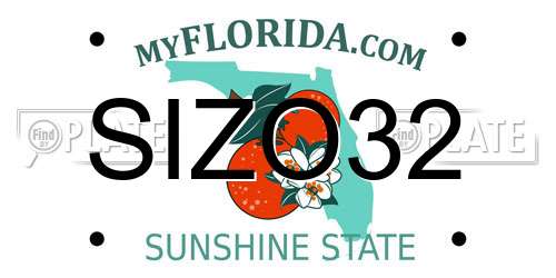 SIZO32 Florida License Plate