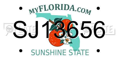 SJ13656 Florida License Plate