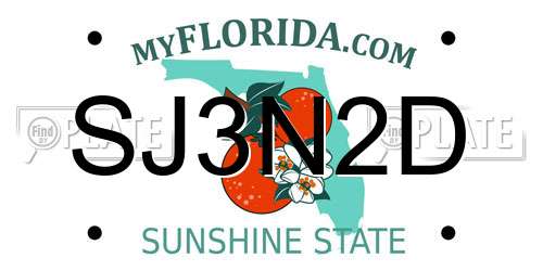 SJ3N2D Florida License Plate