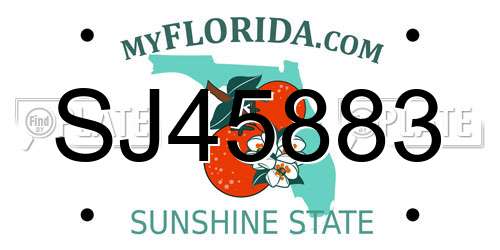 SJ45883 Florida License Plate