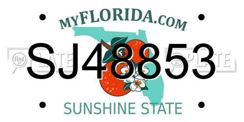 SJ48853 Florida License Plate
