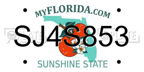 SJ4S853 Florida License Plate