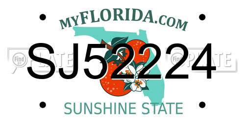 SJ52224 Florida License Plate