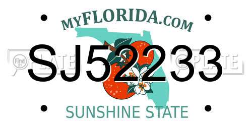 SJ52233 Florida License Plate