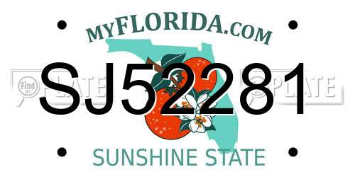 SJ52281 Florida License Plate