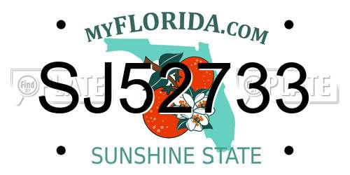 SJ52733 Florida License Plate
