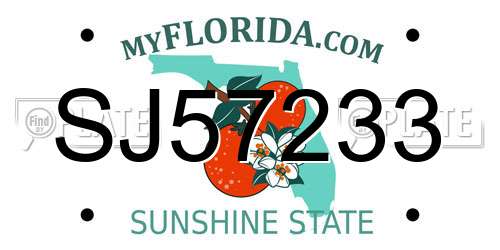 SJ57233 Florida License Plate