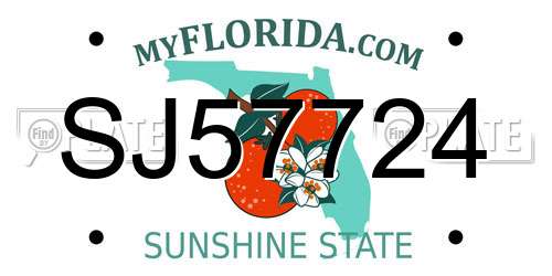 SJ57724 Florida License Plate