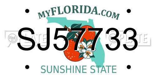 SJ57733 Florida License Plate