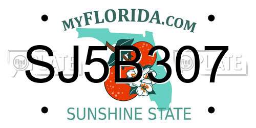 SJ5B307 Florida License Plate