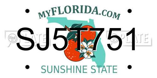 SJ5T751 Florida License Plate