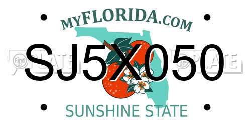 SJ5X050 Florida License Plate