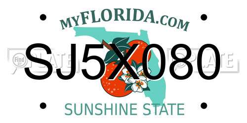 SJ5X080 Florida License Plate