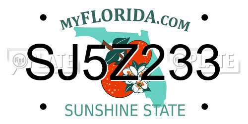 SJ5Z233 Florida License Plate