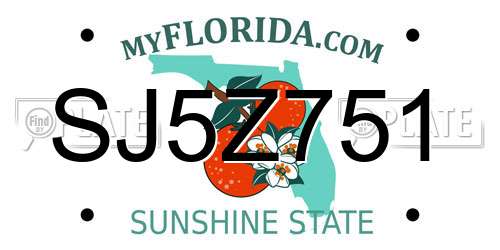 SJ5Z751 Florida License Plate