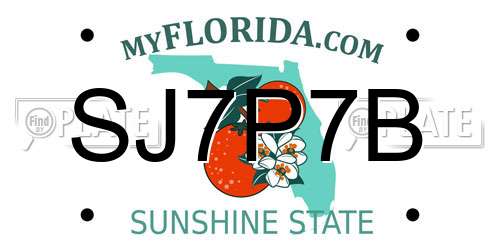 SJ7P7B Florida License Plate