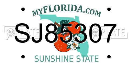 SJ85307 Florida License Plate