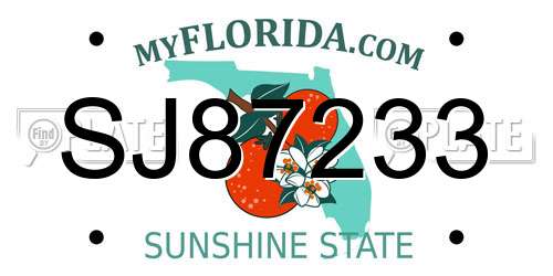 SJ87233 Florida License Plate