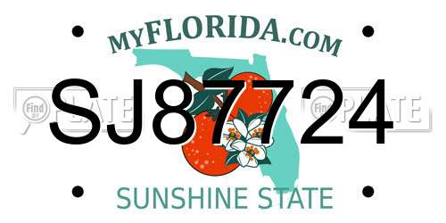 SJ87724 Florida License Plate