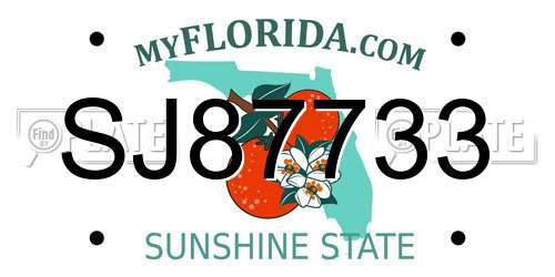SJ87733 Florida License Plate
