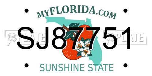 SJ87751 Florida License Plate