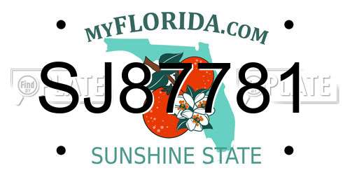 SJ87781 Florida License Plate