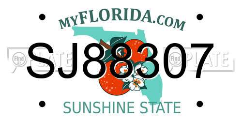 SJ88307 Florida License Plate