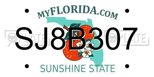 SJ8B307 Florida License Plate