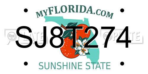 SJ8T274 Florida License Plate