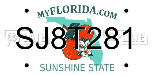 SJ8T281 Florida License Plate