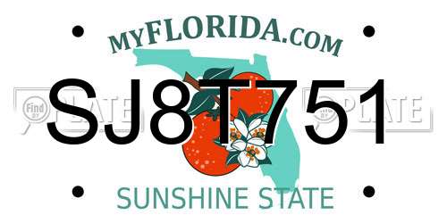 SJ8T751 Florida License Plate
