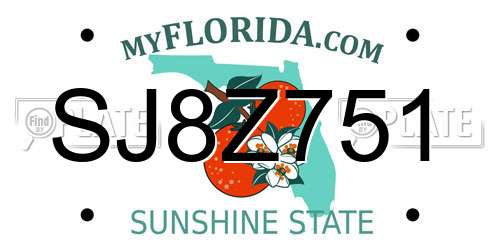 SJ8Z751 Florida License Plate