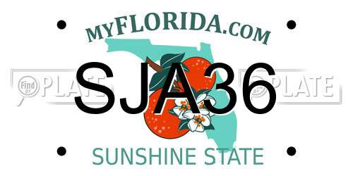 SJA36 Florida License Plate