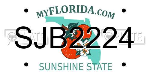 SJB2224 Florida License Plate