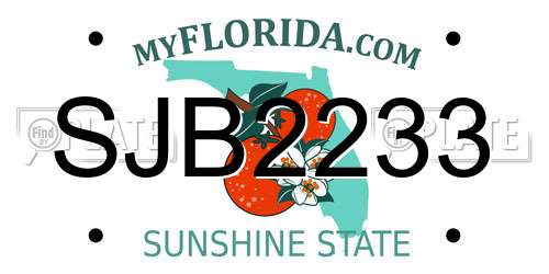 SJB2233 Florida License Plate