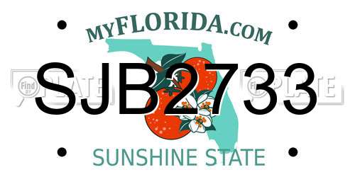 SJB2733 Florida License Plate