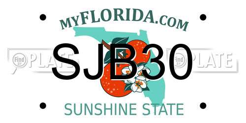 SJB30 Florida License Plate