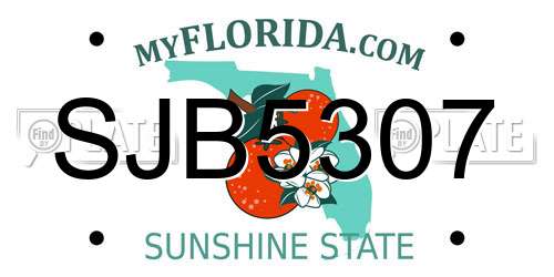 SJB5307 Florida License Plate