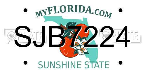 SJB7224 Florida License Plate