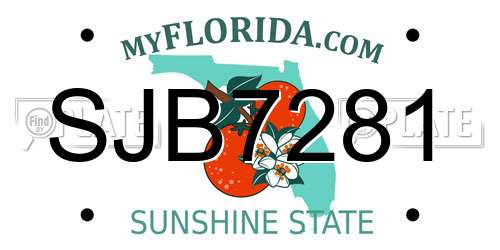 SJB7281 Florida License Plate